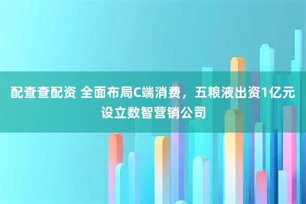 配查查配资 全面布局C端消费，五粮液出资1亿元设立数智营销公司
